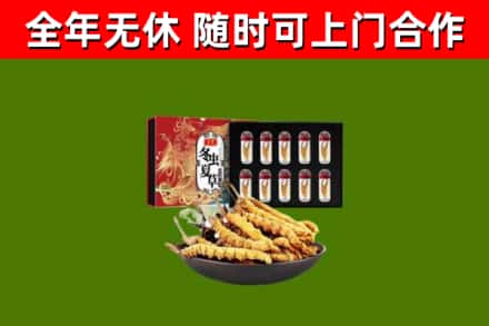 宝塔区回收冬虫夏草价格