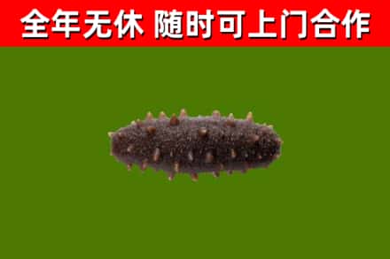 宝塔区烟酒回收干海参.jpg